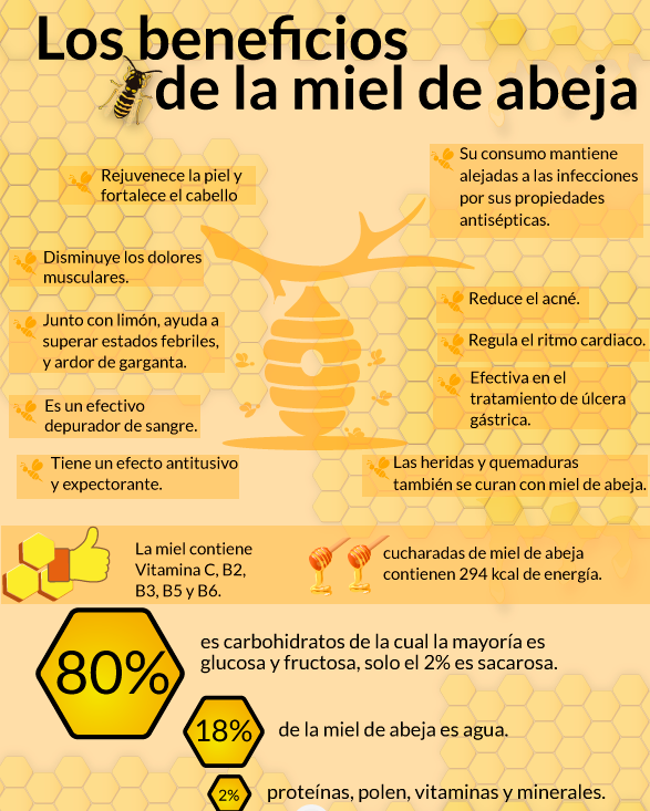 Beneficios de la miel de abeja Montemiel
